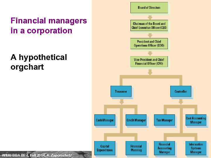 Financial managers in a corporation A hypothetical orgchart WIUU BBA BF-I, Fall 2014, A.