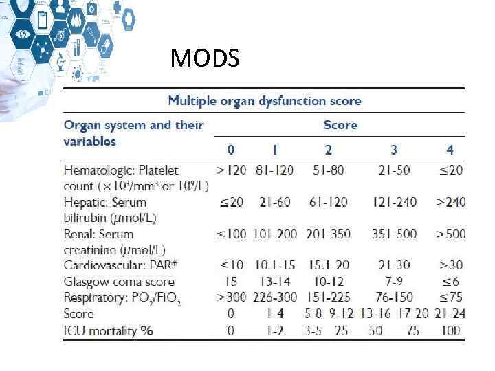  MODS 