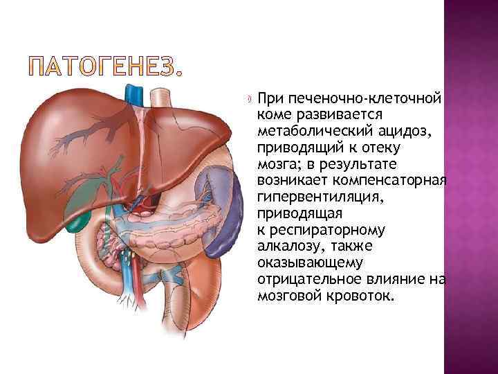  При печеночно-клеточной коме развивается метаболический ацидоз, приводящий к отеку мозга; в результате возникает