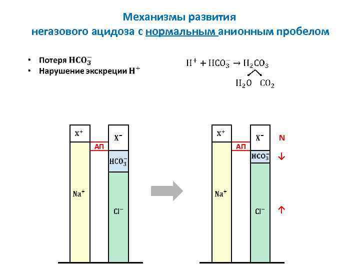 Механизмы развития негазового ацидоза с нормальным анионным пробелом АП АП ↓ N ↑ 