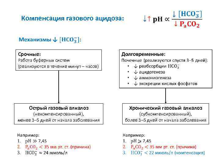 Развитие негазового ацидоза при почечной недостаточности схема