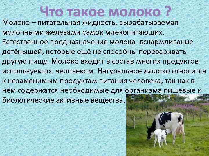 Что такое молоко ? Молоко – питательная жидкость, вырабатываемая молочными железами самок млекопитающих. Естественное