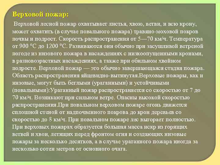 Верховой пожар: Верховой лесной пожар охватывает листья, хвою, ветви, и всю крону, может охватить