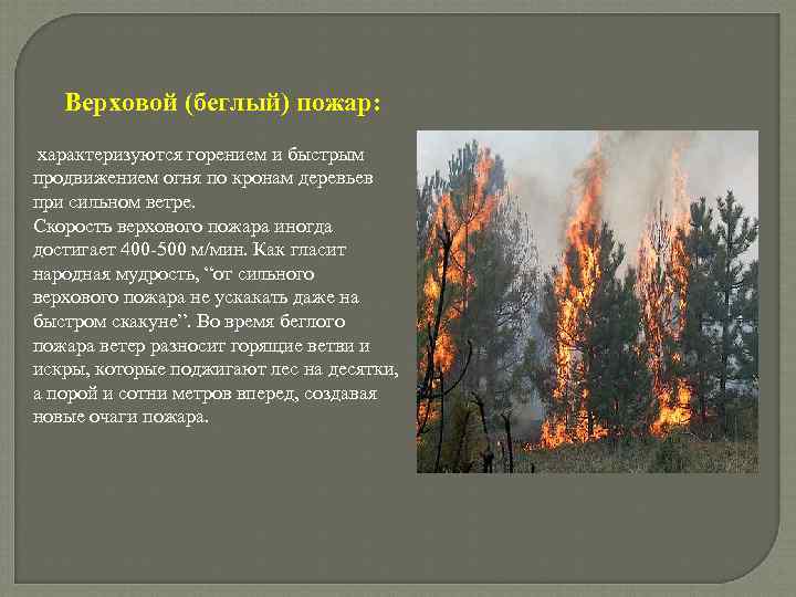 Верховой (беглый) пожар: характеризуются горением и быстрым продвижением огня по кронам деревьев при сильном