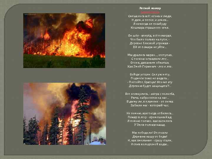 Лесной пожар Сергей Газин Смешалось всё: огонь и люди, И дым, и пепел, и