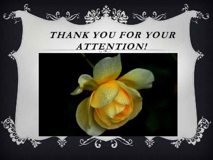 THANK YOU FOR YOUR ATTENTION! 