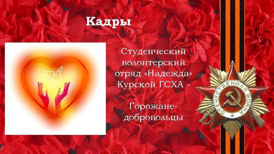 Кадры Студенческий волонтерский отряд «Надежда» Курской ГСХА Горожанедобровольцы 