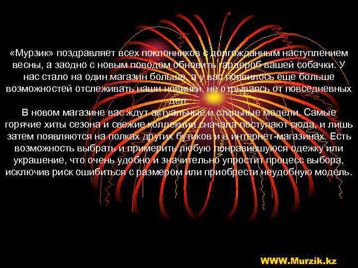  «Мурзик» поздравляет всех поклонников с долгожданным наступлением весны, а заодно с новым поводом