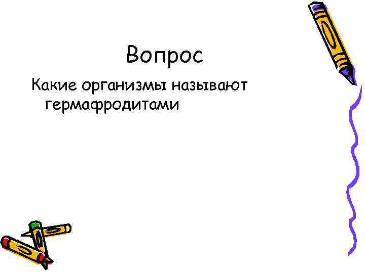 Вопрос Какие организмы называют гермафродитами 