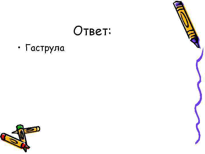 Ответ: • Гаструла 
