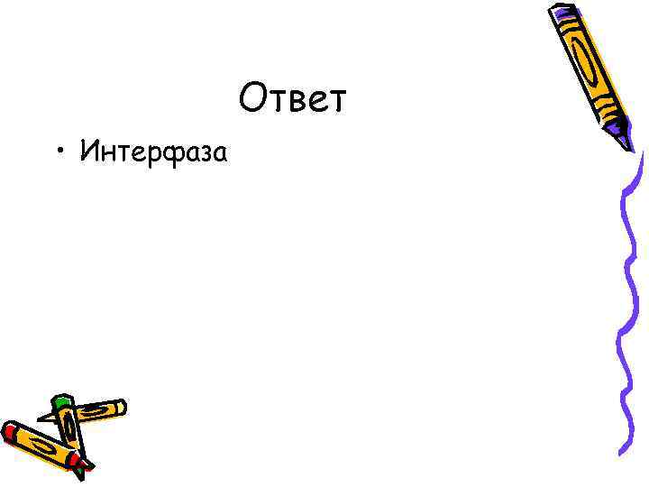 Ответ • Интерфаза 