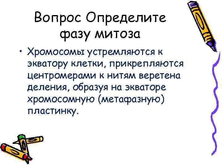 Вопрос Определите фазу митоза • Хромосомы устремляются к экватору клетки, прикрепляются центромерами к нитям