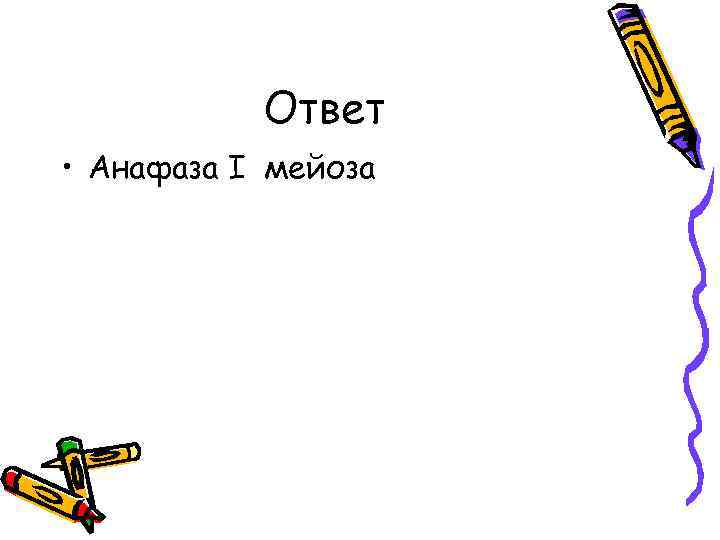 Ответ • Анафаза I мейоза 