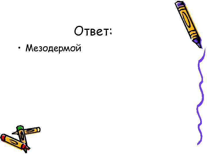 Ответ: • Мезодермой 