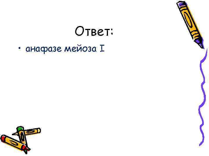 Ответ: • анафазе мейоза I 