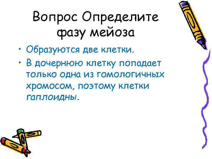 Вопрос Определите фазу мейоза • Образуются две клетки. • В дочернюю клетку попадает только