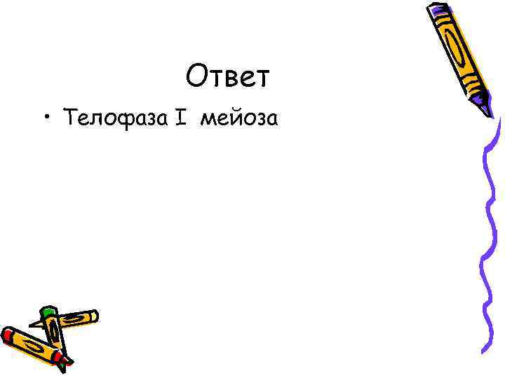 Ответ • Телофаза I мейоза 