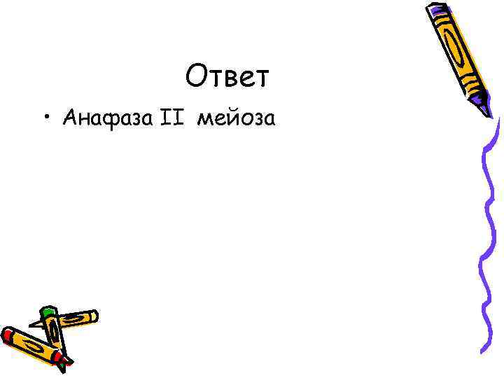 Ответ • Анафаза II мейоза 
