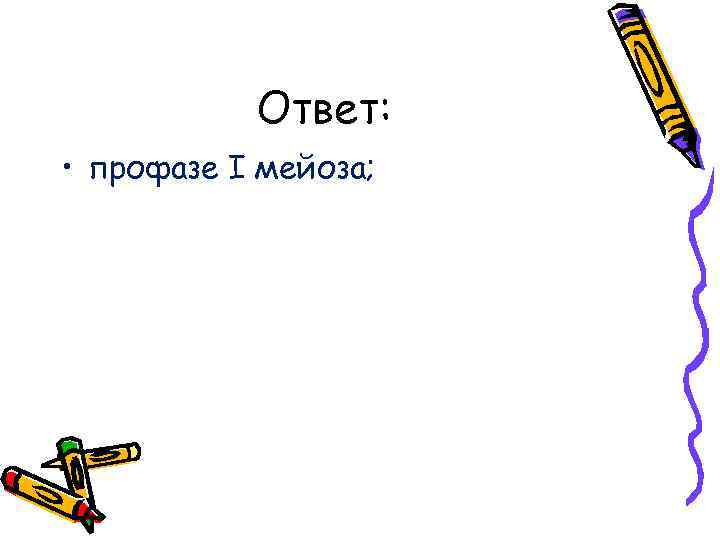Ответ: • профазе I мейоза; 