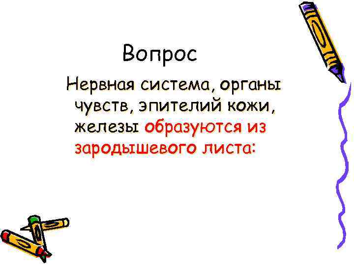 Вопрос Нервная система, органы чувств, эпителий кожи, железы образуются из зародышевого листа: 