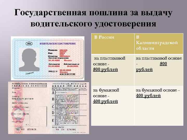 Замена водительского в 2023 году. Госпошлина за водительское удостоверение. Удостоверение на пластиковой основе. Государственная пошлина за выдачу водительского удостоверения. Реквизиты водительского удостоверения.