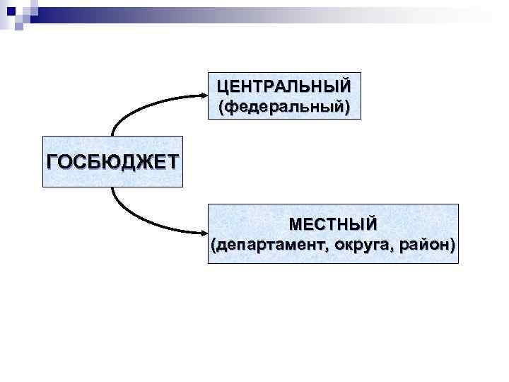 ЦЕНТРАЛЬНЫЙ (федеральный) ГОСБЮДЖЕТ МЕСТНЫЙ (департамент, округа, район) 