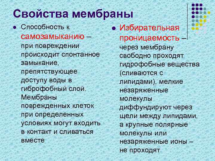 Свойства мембраны l Способность к самозамыканию – при повреждении происходит спонтанное замыкание, препятствующее доступу