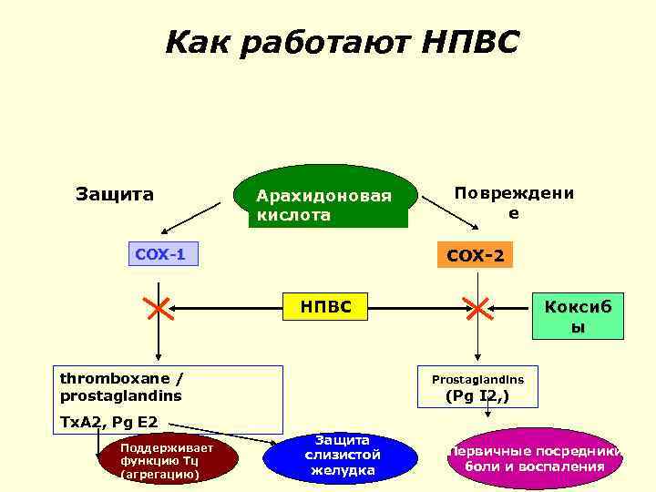 Механизм действия нпвс схема