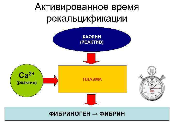 Активированное время рекальцификации КАОЛИН (РЕАКТИВ) Ca 2+ (реактив) ПЛАЗМА ФИБРИНОГЕН → ФИБРИН 