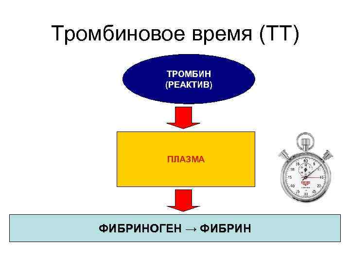Тромбиновое время (TT) ТРОМБИН (РЕАКТИВ) ПЛАЗМА ФИБРИНОГЕН → ФИБРИН 