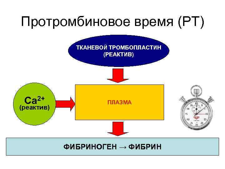 Протромбиновое время (PT) ТКАНЕВОЙ ТРОМБОПЛАСТИН (РЕАКТИВ) Ca 2+ (реактив) ПЛАЗМА ФИБРИНОГЕН → ФИБРИН 