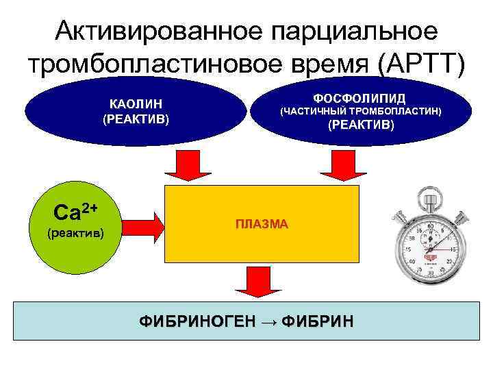 Активированное парциальное тромбопластиновое время (APTT) КАОЛИН (РЕАКТИВ) Ca 2+ (реактив) ФОСФОЛИПИД (ЧАСТИЧНЫЙ ТРОМБОПЛАСТИН) (РЕАКТИВ)