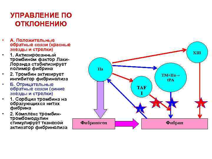 УПРАВЛЕНИЕ ПО ОТКЛОНЕНИЮ • • • А. Положительные обратные связи (красные звезды и стрелки)