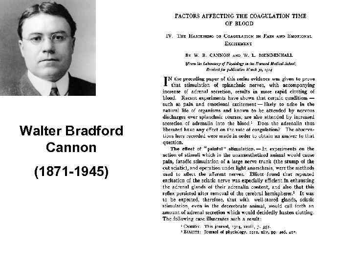Walter Bradford Cannon (1871 -1945) 