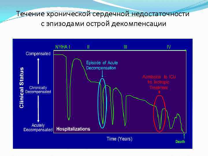 Течение хронической сердечной недостаточности с эпизодами острой декомпенсации 