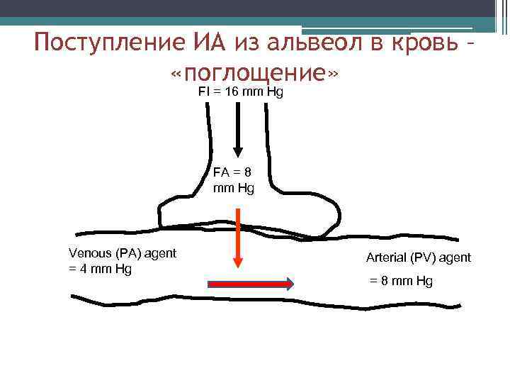 Поступление ИА из альвеол в кровь – «поглощение» FI = 16 mm Hg FA
