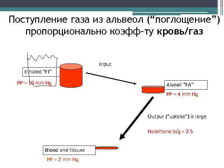 Поступление газа из альвеол (“поглощение”) пропорционально коэфф-ту кровь/газ Input Inhaled “FI” PP = 16