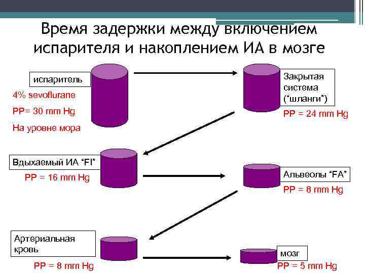 Время задержки между включением испарителя и накоплением ИА в мозге 4% sevoflurane Закрытая система