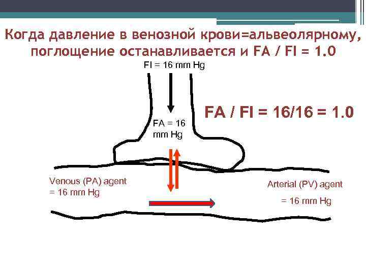 Когда давление в венозной крови=альвеолярному, поглощение останавливается и FA / FI = 1. 0