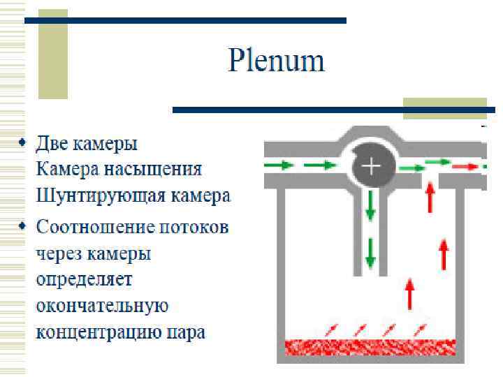 Plenum 