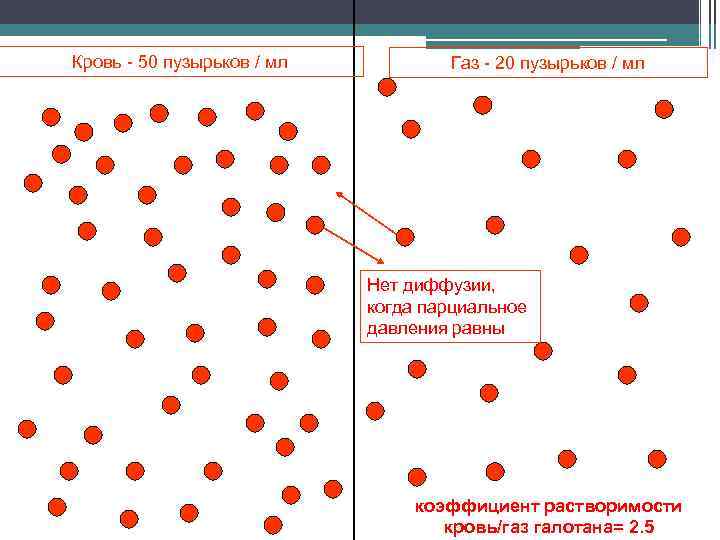 Кровь - 50 пузырьков / мл Газ - 20 пузырьков / мл Нет диффузии,