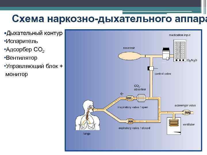 Схема наркозно-дыхательного аппара • Дыхательный контур • Испаритель • Aдсорбер СО 2 • Вентилятор