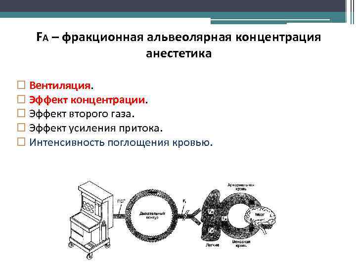 FА – фракционная альвеолярная концентрация анестетика Вентиляция. Эффект концентрации. Эффект второго газа. Эффект усиления