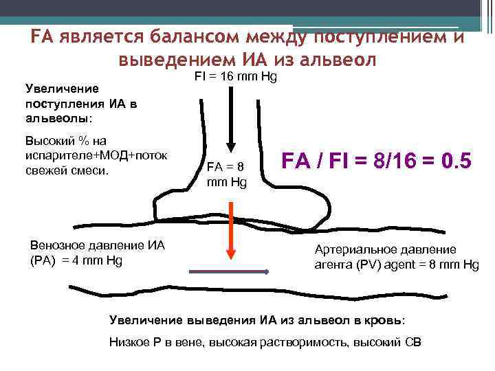 FA является балансом между поступлением и выведением ИА из альвеол Увеличение поступления ИА в