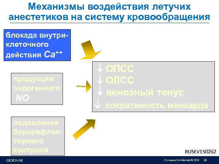 Механизмы воздействия летучих анестетиков на систему кровообращения блокада внутриклеточного действия Са++ продукция эндогенного NO
