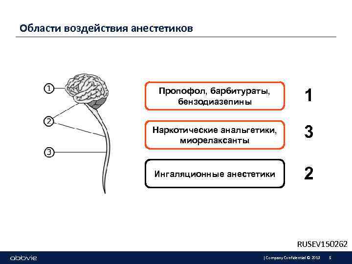 Области воздействия анестетиков Пропофол, барбитураты, бензодиазепины 1 Наркотические анальгетики, миорелаксанты 3 Ингаляционные анестетики 2