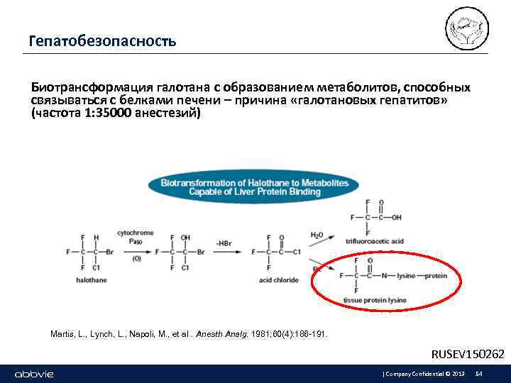 Гепатобезопасность Биотрансформация галотана с образованием метаболитов, способных связываться с белками печени – причина «галотановых
