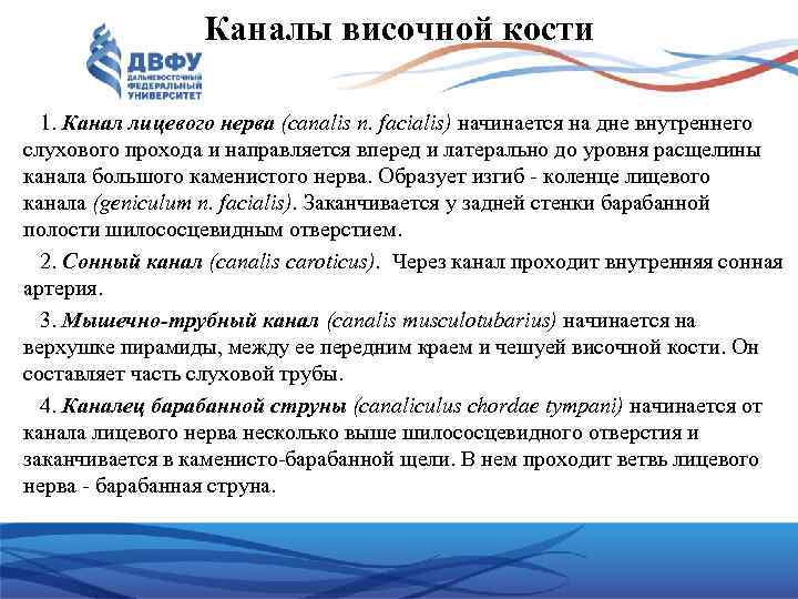 Каналы височной кости 1. Канал лицевого нерва (canalis n. facialis) начинается на дне внутреннего