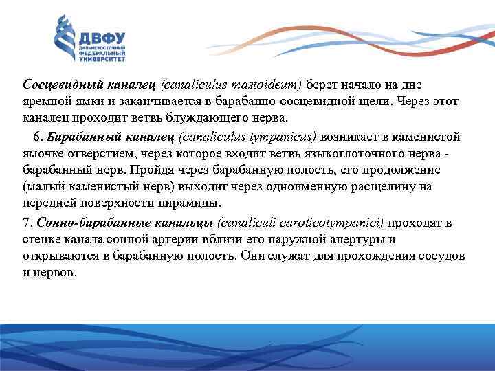 Сосцевидный каналец (canaliculus mastoideum) берет начало на дне яремной ямки и заканчивается в барабанно-сосцевидной