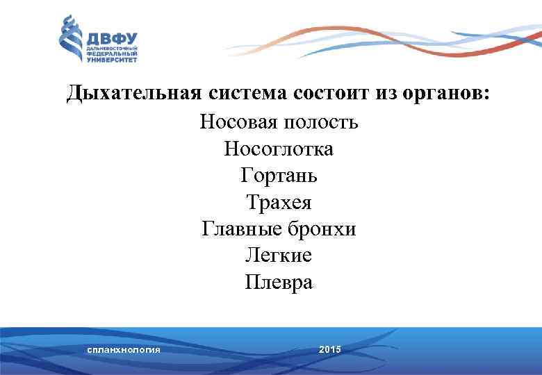 Дыхательная система состоит из органов: Носовая полость Носоглотка Гортань Трахея Главные бронхи Легкие Плевра